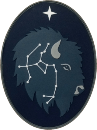 Bison Del6 Det 1 - Badass Patches