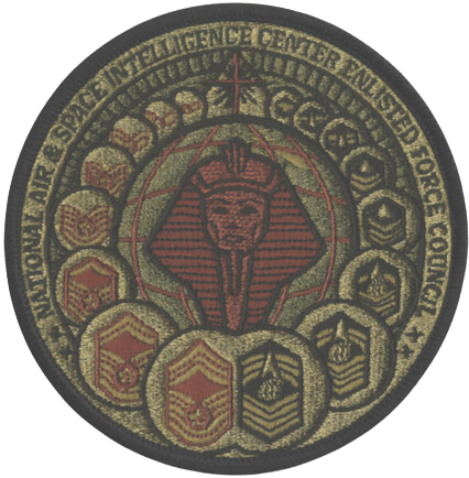 Enlisted Force Council Pharaoh - Badass Patches